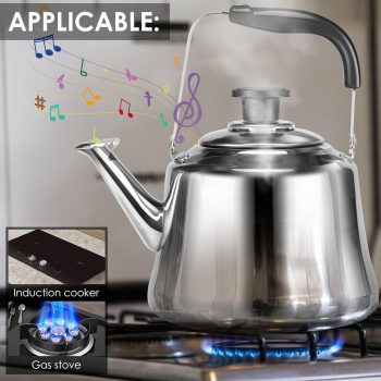 2L Stainless Steel Handle Tea Kettle